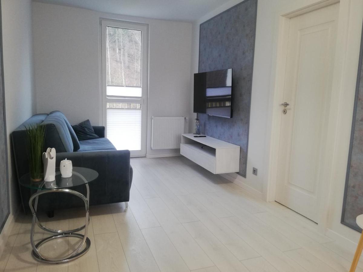 Apartament Stella Душники-Здруй Экстерьер фото