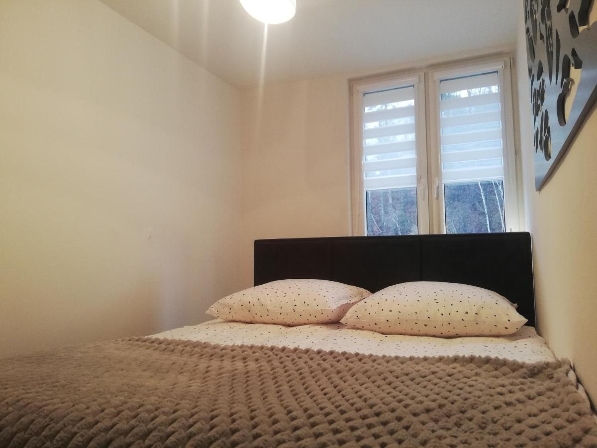 Apartament Stella Душники-Здруй Экстерьер фото
