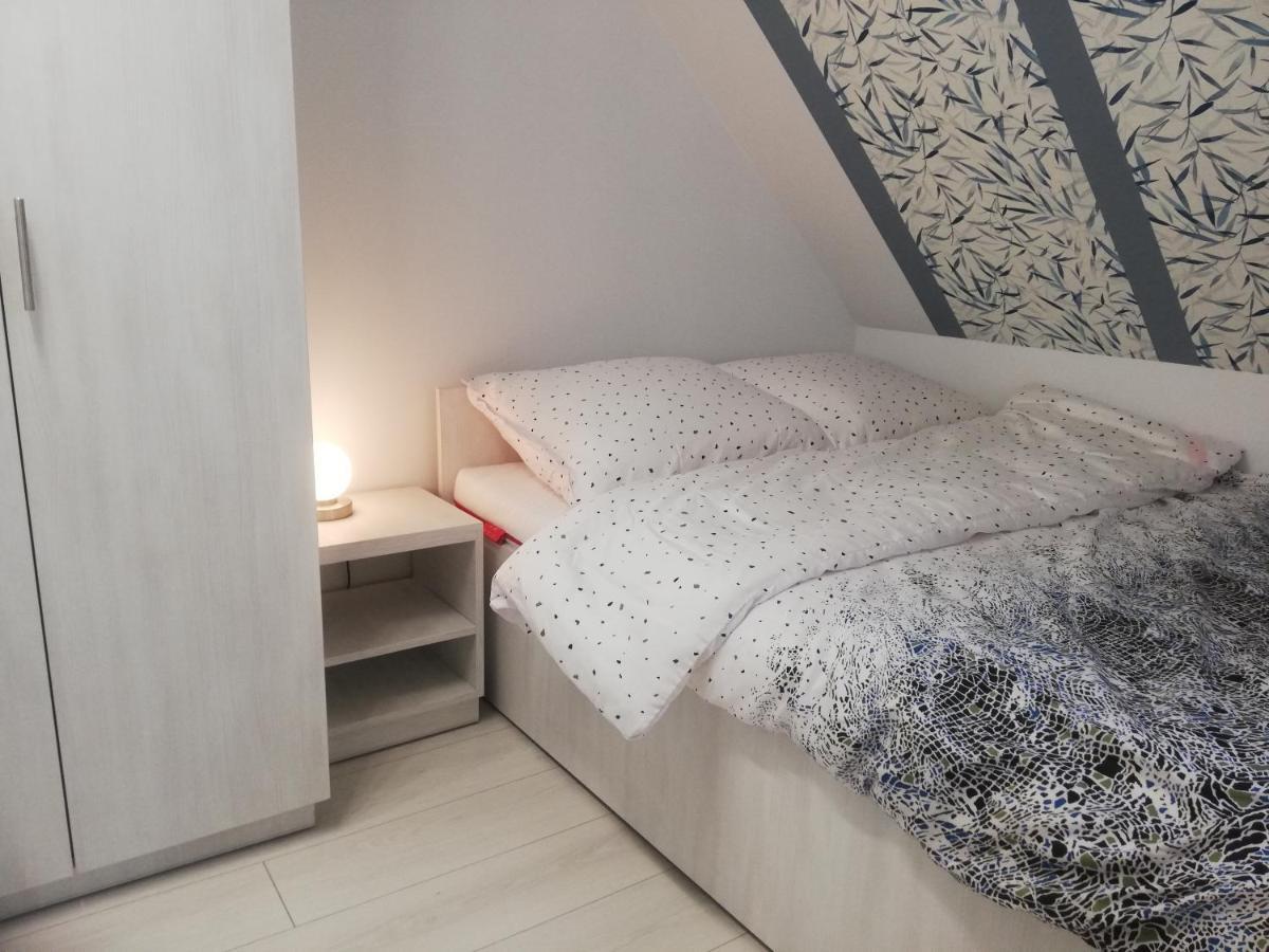 Apartament Stella Душники-Здруй Экстерьер фото
