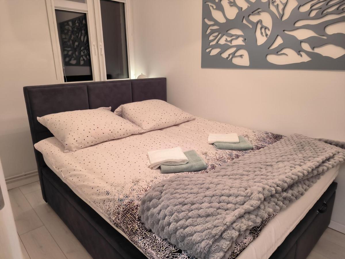 Apartament Stella Душники-Здруй Экстерьер фото